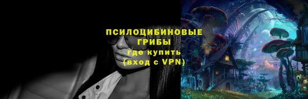 ГАЛЛЮЦИНОГЕННЫЕ ГРИБЫ Касимов
