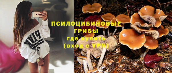 винт Карпинск