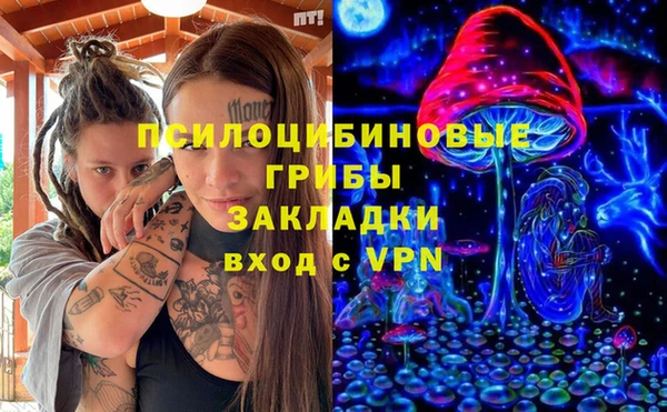 хмурый Карталы