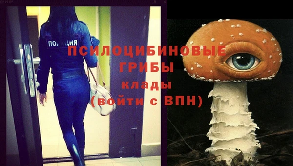 хмурый Карталы