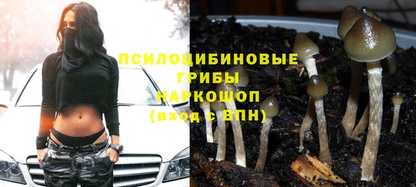 ГАЛЛЮЦИНОГЕННЫЕ ГРИБЫ Касимов