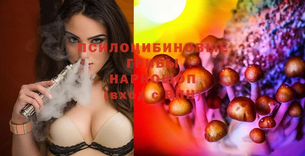 ГАЛЛЮЦИНОГЕННЫЕ ГРИБЫ Касимов