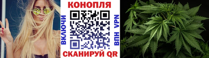 Купить  Кадников  Конопля сатива 